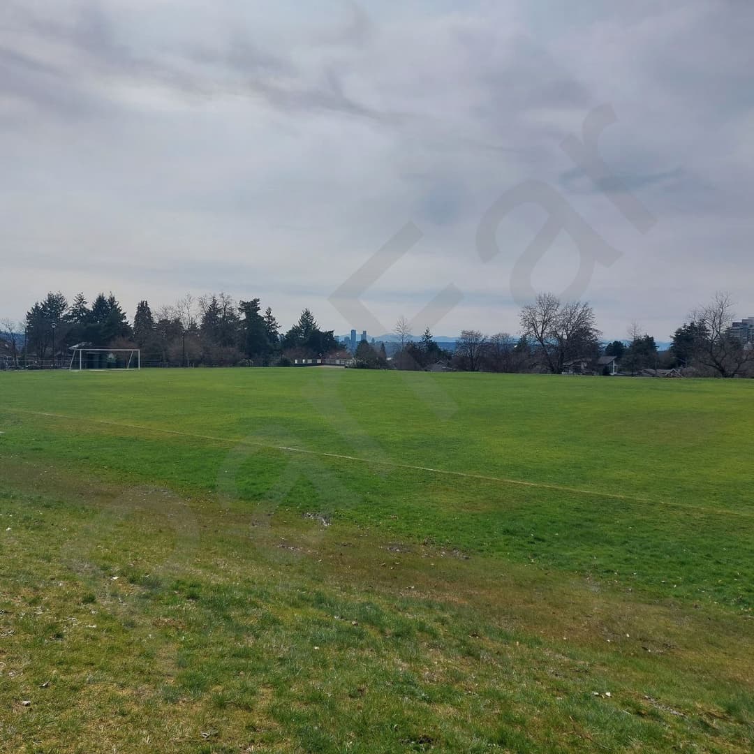 Soccer field