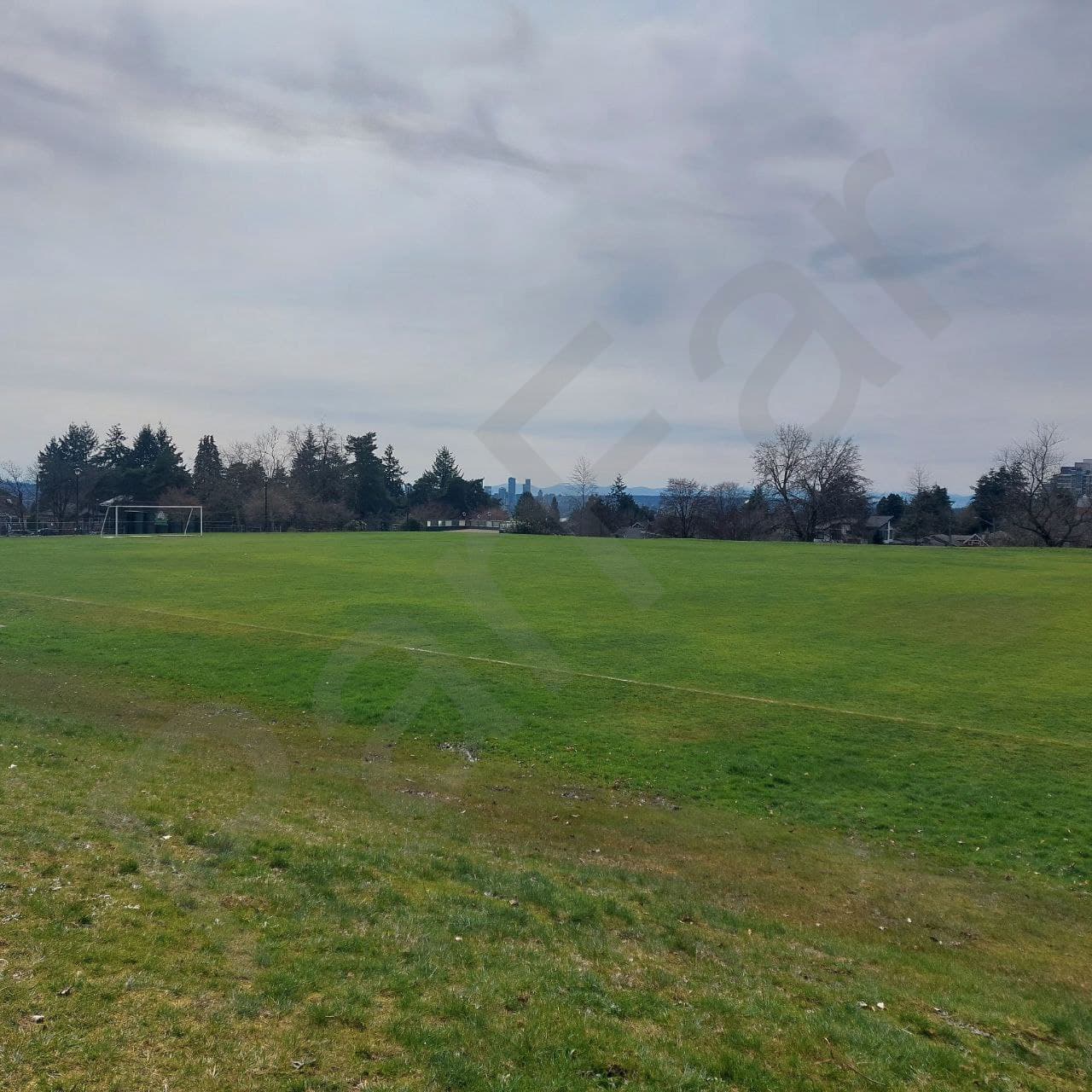 Soccer field