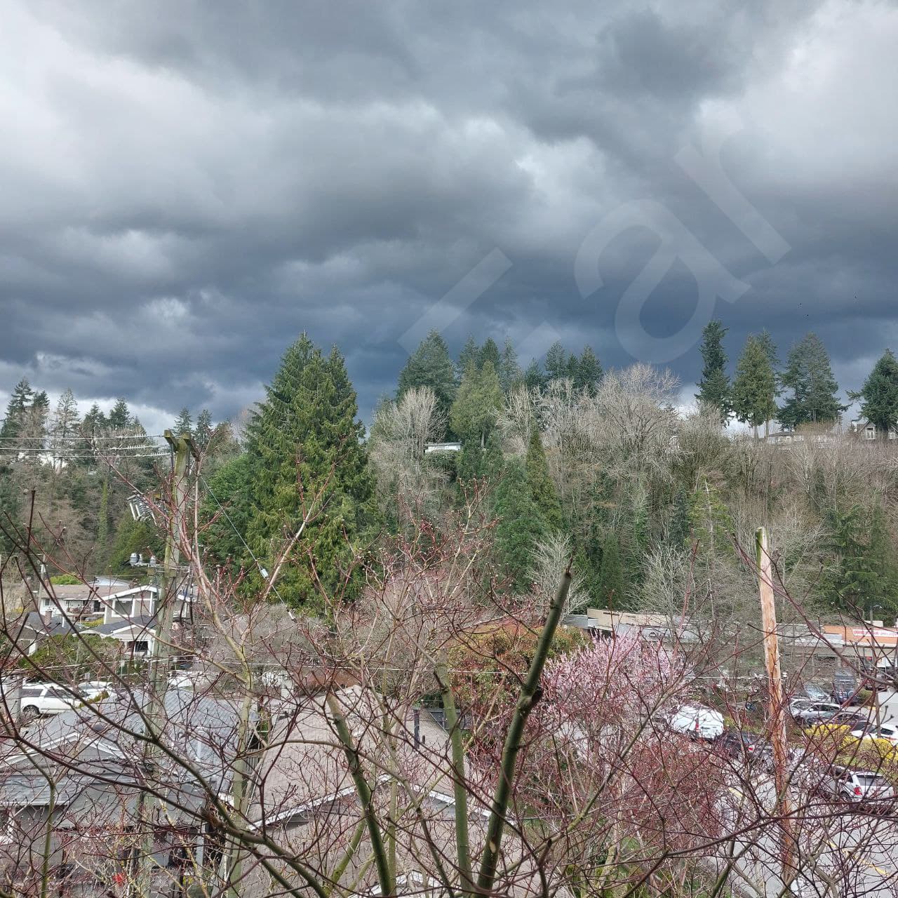Vancouver Nature